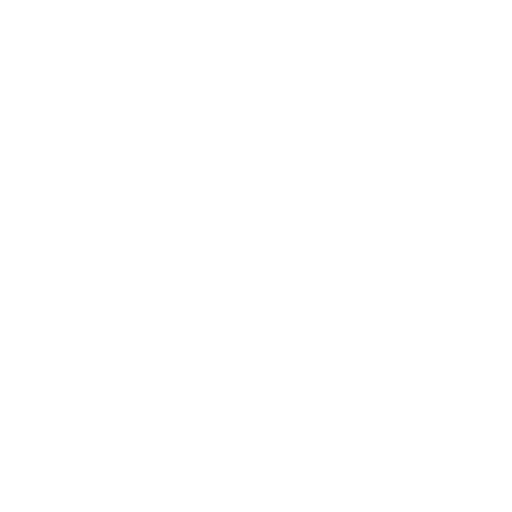 Full-Stack AI Solutions
