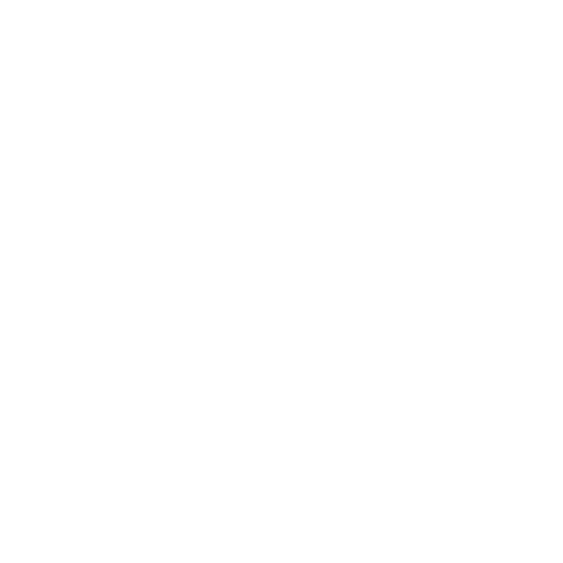 Customized AI Model Tuning